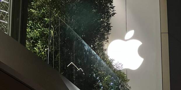 Тезка под прицелом: 10 тысяч россиян заблокировали в Apple за «потенциальное совпадение» с санкционными списками
