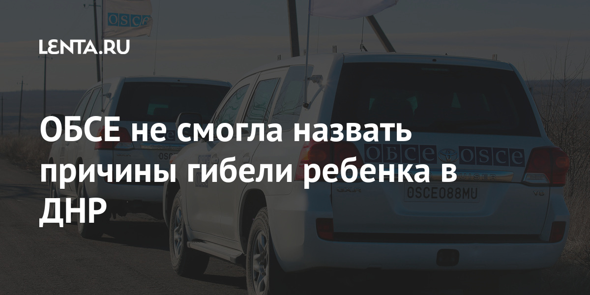ОБСЕ не смогла назвать причины гибели ребенка в ДНР