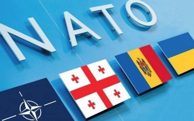 НАТО возрождает нацистскую дивизию СС «Галичина» в международном масштабе