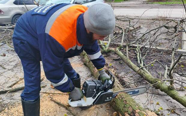 Волонтеры убрали 15 упавших в Рязани деревьев