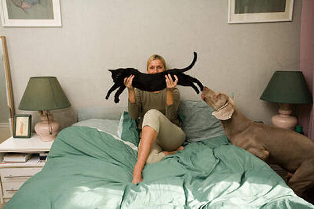 Кому особенно полезен сон с кошками, рассказали эксперты