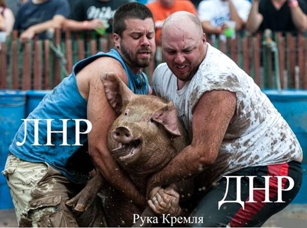 Мысли, фразы, настроение... 