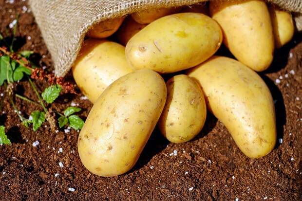 JN: Вареный картофель снижает риск смерти от заболеваний сердца на 3%