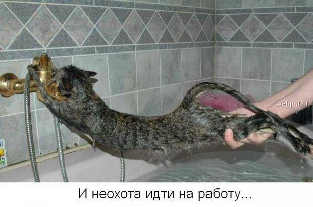 Не унывай! :) (22фото)