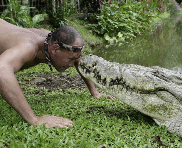 Необычный друг - крокодил Почо (фото+видео)