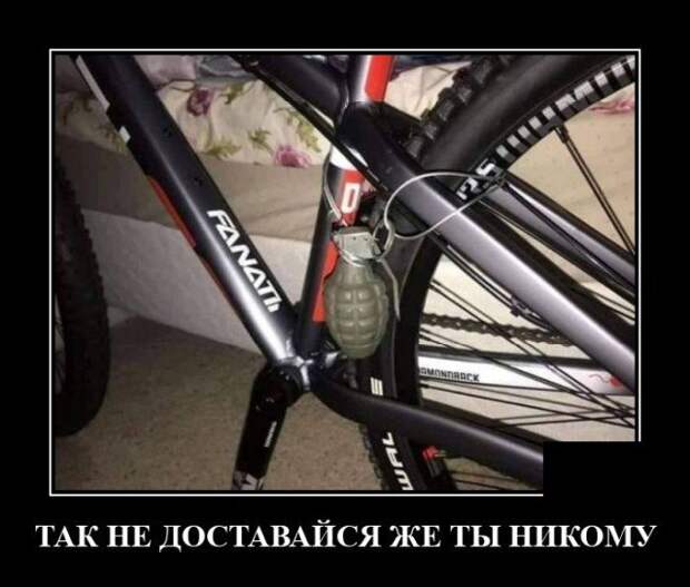 Демотиватор про противоугонное средство
