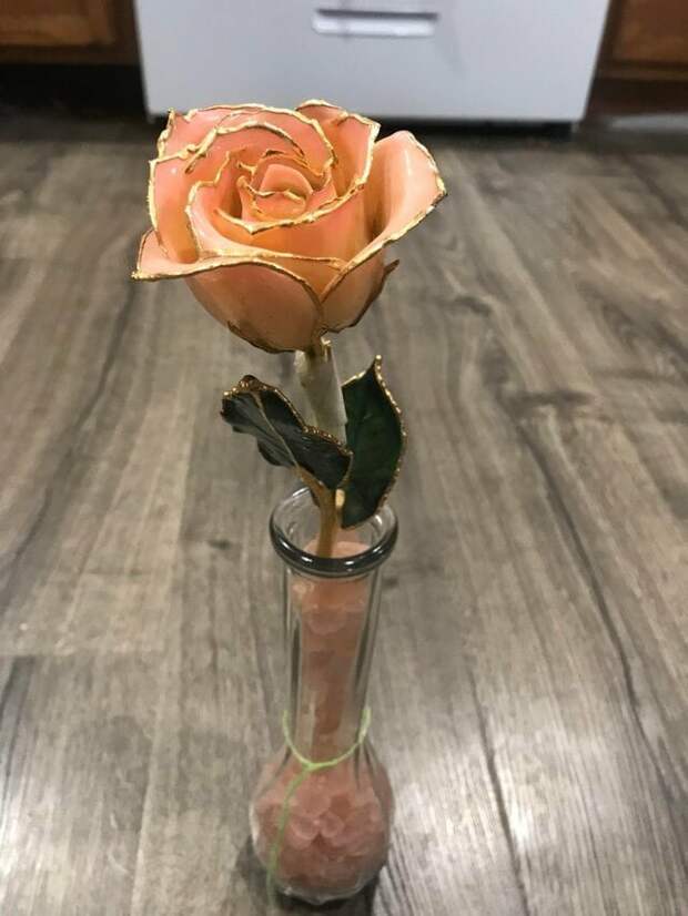 7. «Это настоящая роза, покрытая стеклом и золотом. Я купил её для мамы 20 лет назад» в мире, вещи, история, подборка, удивительно, фотомир
