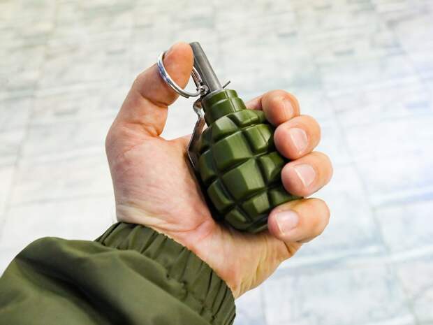 Тайник с оружием и взрывчатыми веществами нашли в Запорожской области