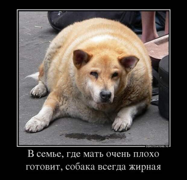 Демотиваторы на прикольную тему "А знаете ли Вы? Что..." (Часть 3)