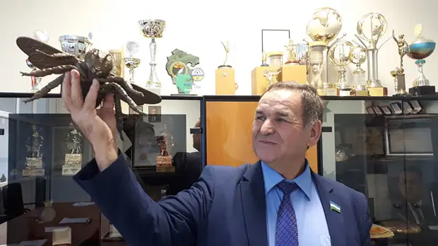 «Все рабочие пчёлы погибли ещё в июне»: из-за производства рапса для Европы в России начались проблемы с мёдом