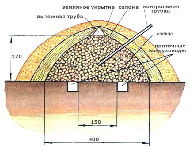 бурта для хранения свеклы