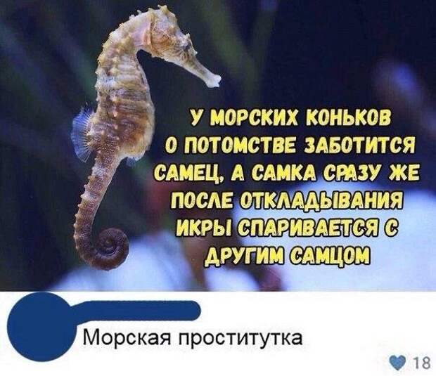 www.vsyako.net