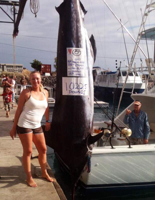 marlin fish world record