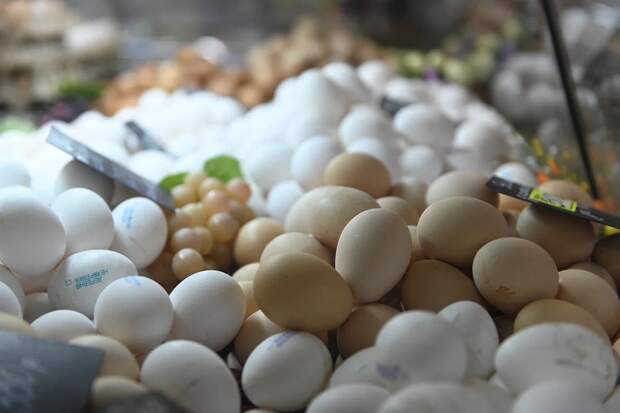 На Пасху в Германии десяток яиц подорожал до 8 евро из‑за птичьего гриппа