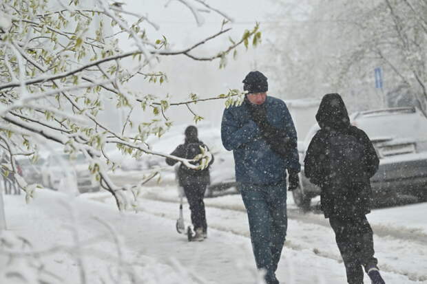 Москвичам назвали продолжительность «нешашлычной» погоды