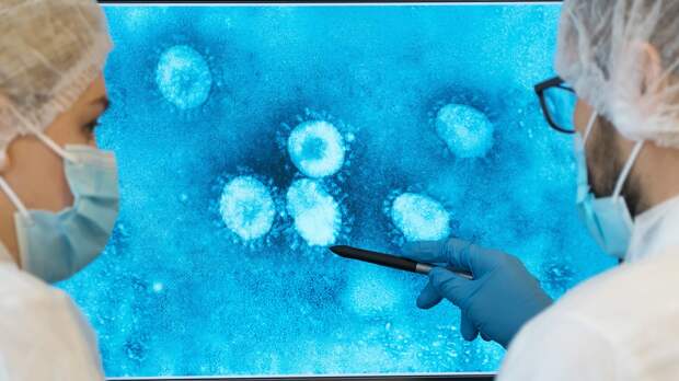 ВОЗ оценила риск распространения вируса Нипах