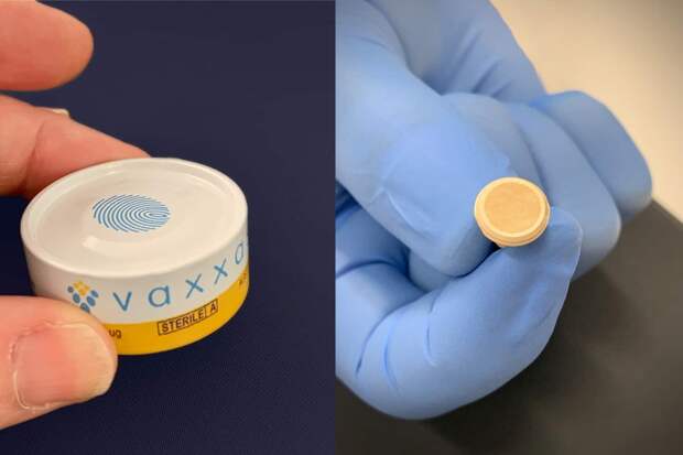 Эта вакцина-пластырь с микроиглами от COVID-19 эффективней инъекций