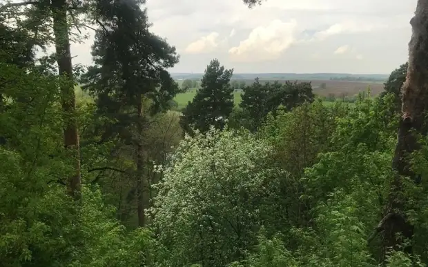 В лесах под Рязанью пройдут всероссийские соревнования по радиоспорту