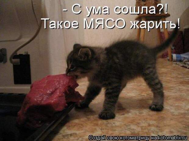 Котоматрицы(картинки с подписями)