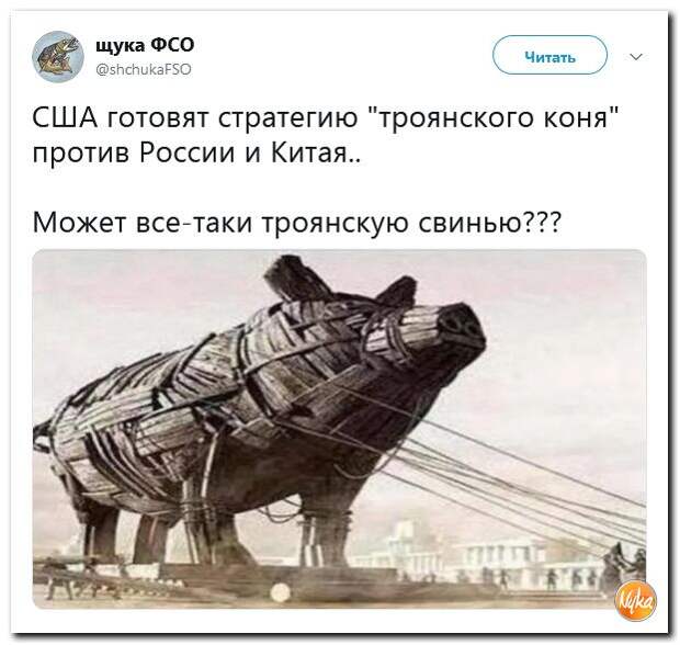 a7f72aa003e5472ca3139fd86835b3b5.jpg