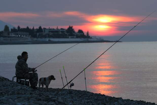 Россиян предупредили о риске сесть в тюрьму за рыбалку
