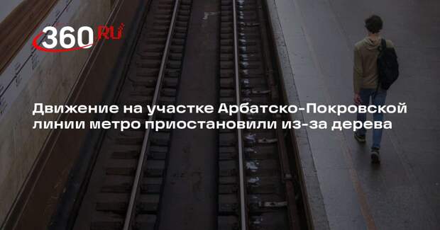 Движение на участке Арбатско-Покровской линии метро приостановили из-за дерева