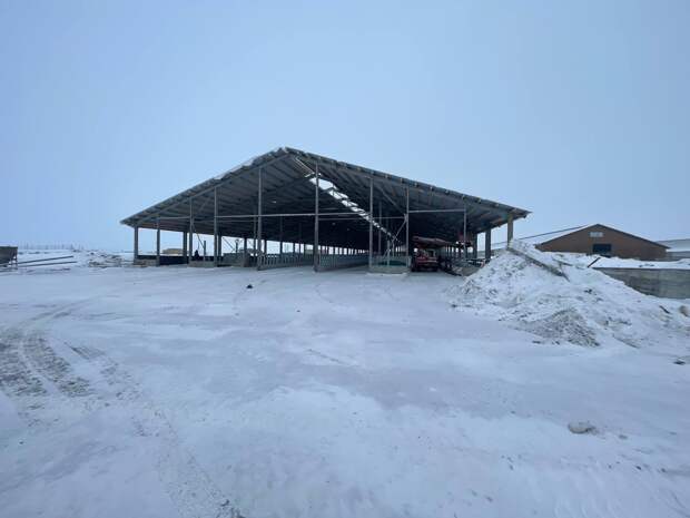 В Пителинском районе реконструируют животноводческий комплекс