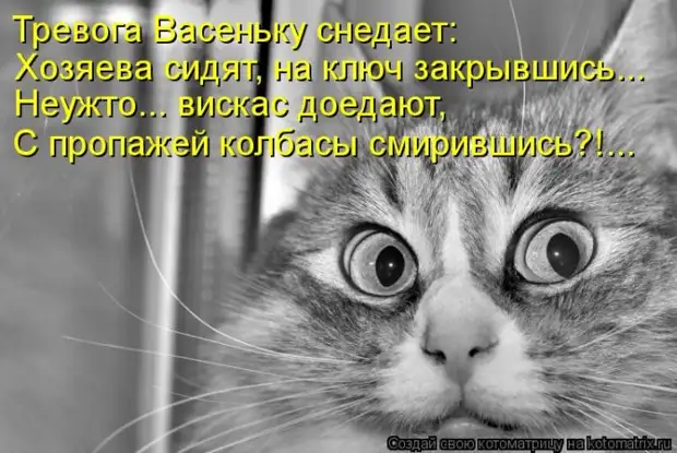 Мысли вслух :) 23 пушистые мыслишки