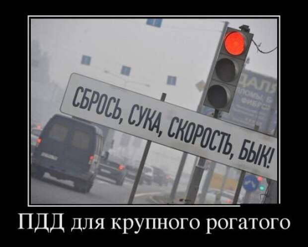 Демотиваторы (30 фото)