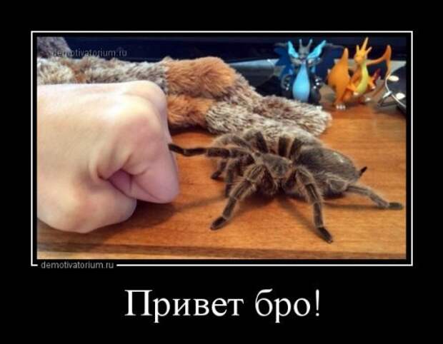Весёленькие демотиваторы для хорошего настроения