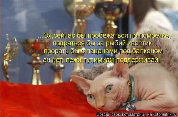 Мысли вслух :)