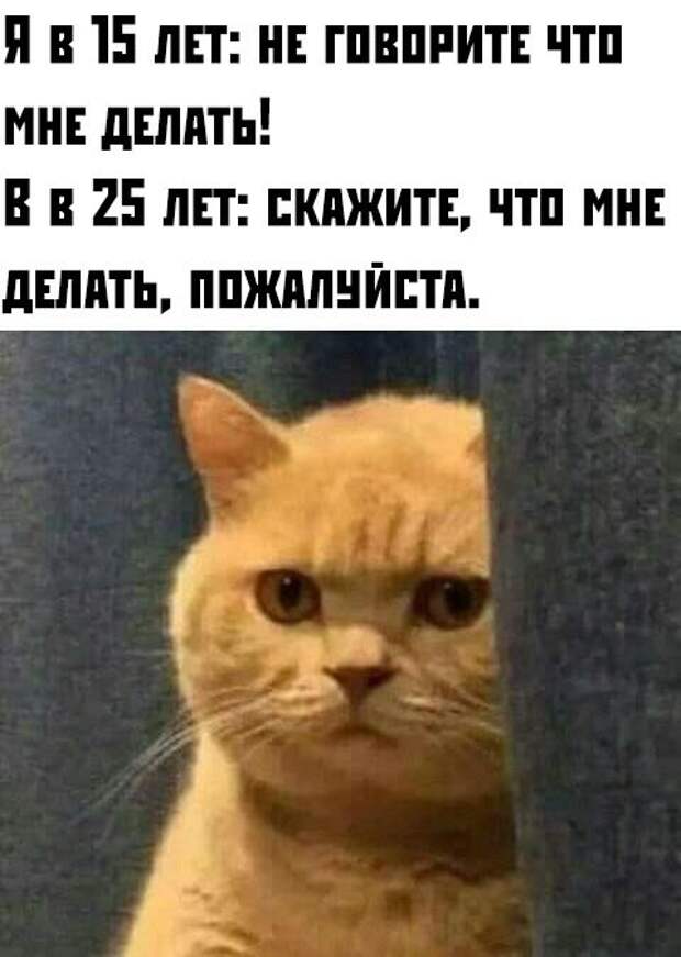 1571081419_0035.jpg