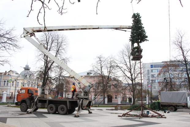 В Рязани начали устанавливать новогодние ёлки