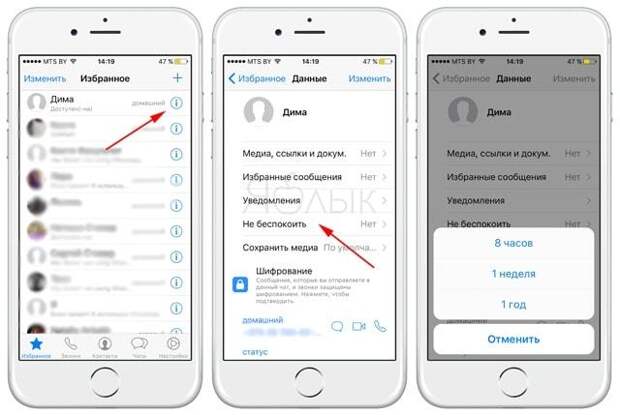 10 полезных опций WhatsApp, которые следует знать каждому
