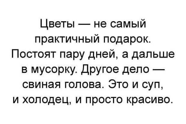 Свежая порция фото-приколов и забавных картинок