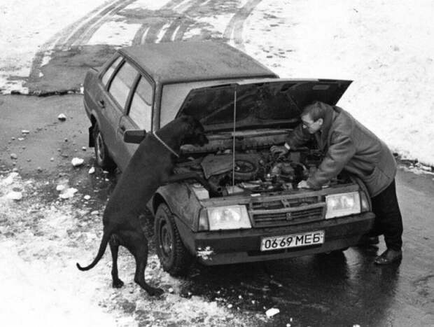 пес чинит авто