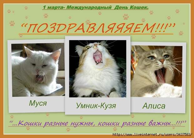 3437583_dca1856c7af0 (600x426, 167Kb)