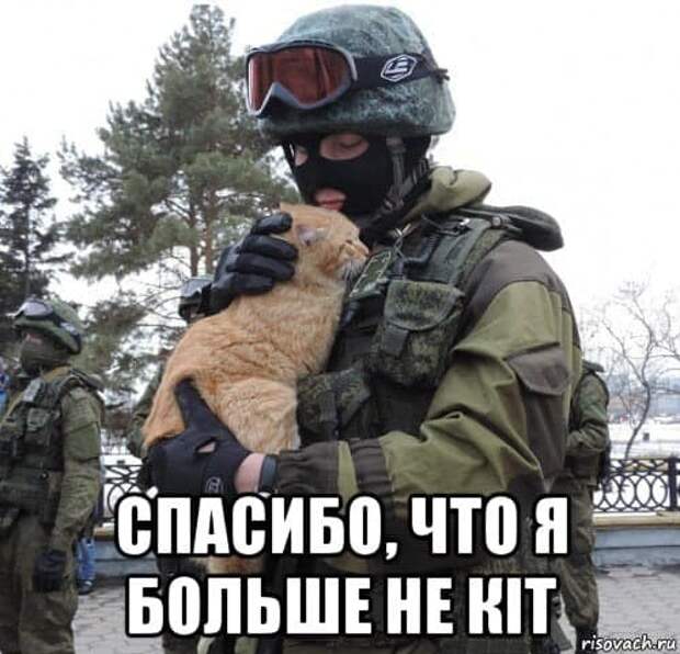 Три кита или три кiта? А может, три кота: Аксёнов прокомментировал заявление украинского МИДа о стратегии возвращения Крыма