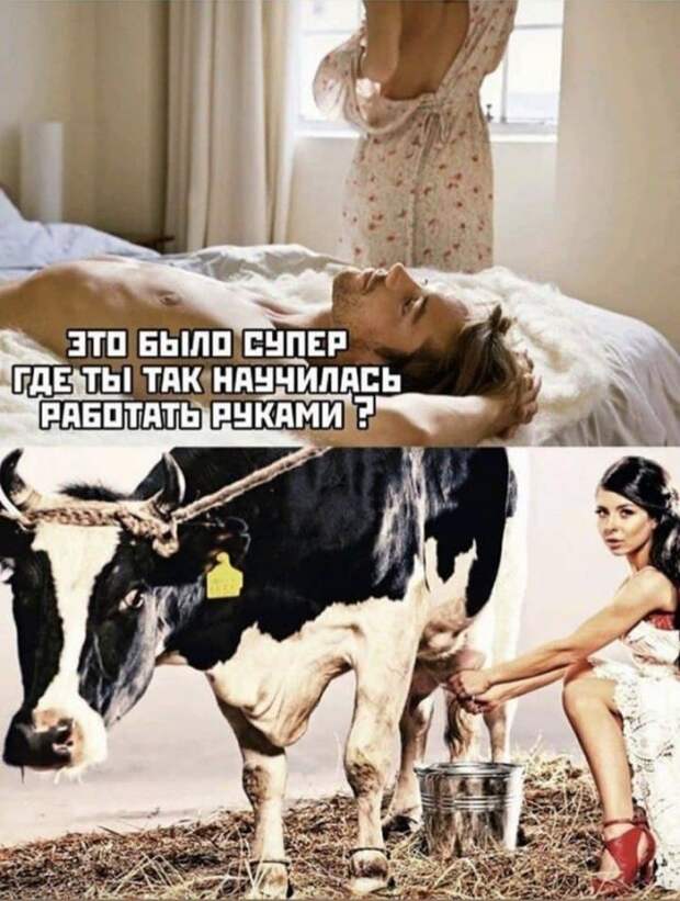 Лучшие шутки и мемы из Сети