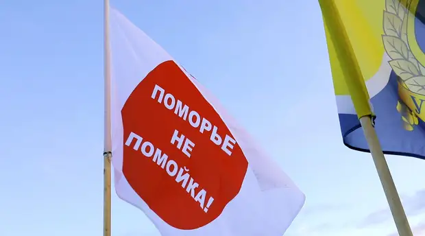 Место свалки: что спровоцировало антимусорные протесты в Архангельской области