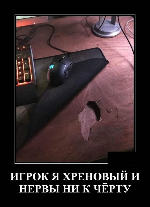 Демотиваторы (30 фото)