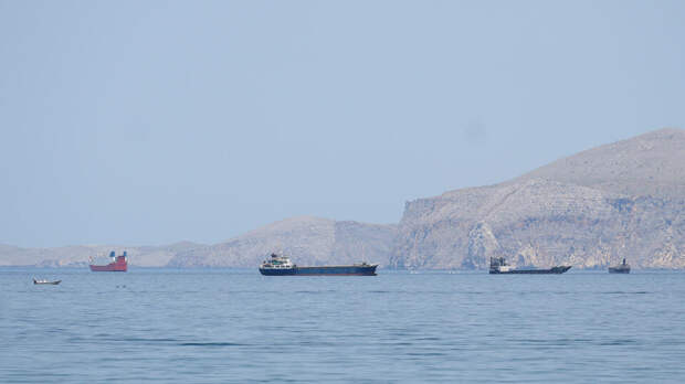 Лавров обсудил с главой МИД ОАЭ ситуацию в Ормузском проливе