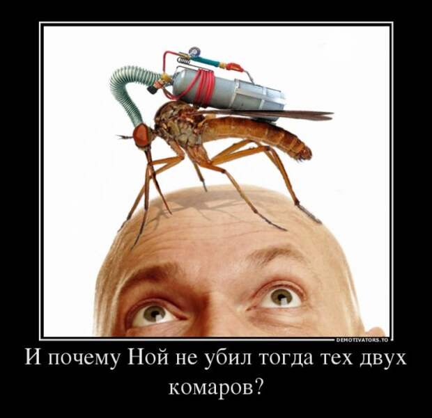 Демотиваторы (23 штуки)
