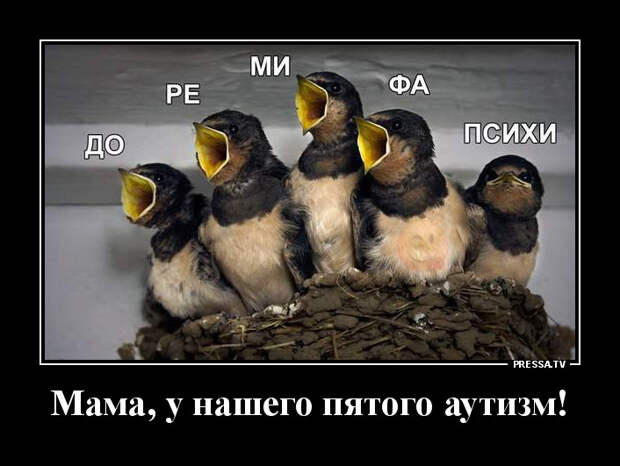 Демотиваторы