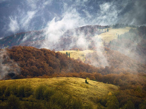 Лучшие фотографии National Geographic апреля 2014