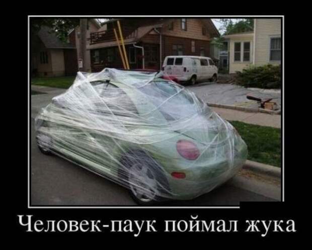 Демотиваторы