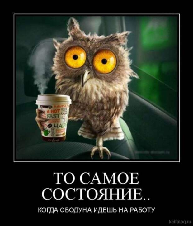 Демотиваторы. Подборка chert-poberi-chert-poberi-14250805052020-6 картинка chert-poberi-14250805052020-6