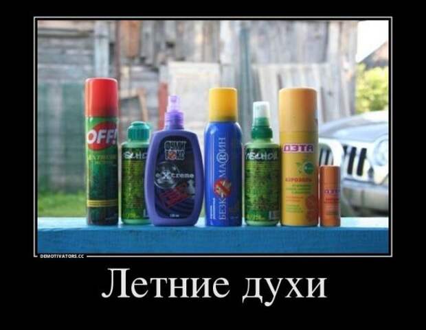 Немного новых демотиваторов