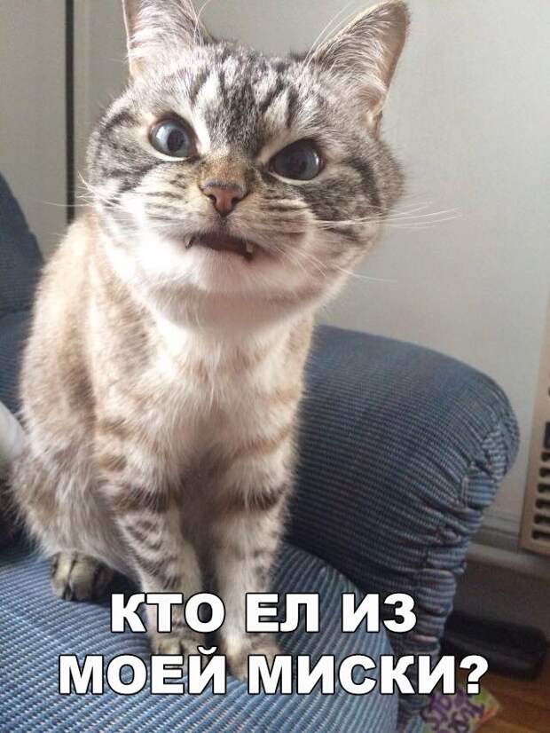 Позитивные картинки с надписью для поднятия настроения (12 фото) Позитивные картинки с надписью для поднятия настроения (12 фото)