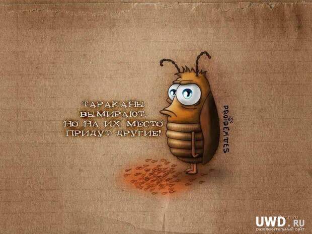 А знаете ли вы?... факты, познавательно, статистика